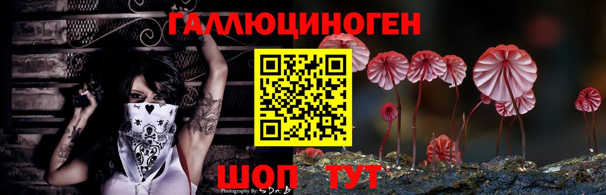 Псилоцибиновые грибы ЛСД Кондопога